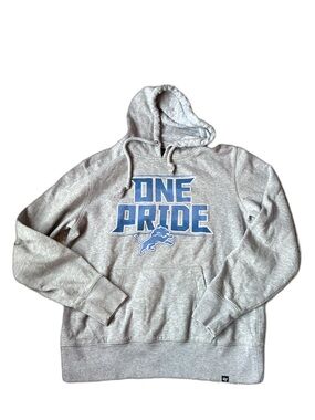 Detroit Lions One Pride Gray Pullover Hoodie